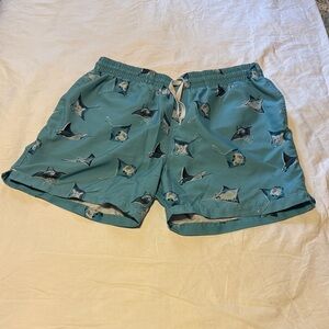 Chubbies Aqua Swim Trunks with Stingray Design